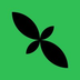 Mint's Logo