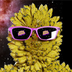 NiftyApes's Logo