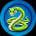 Snook's Logo'