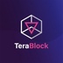 TeraBlock's Logo'
