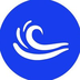 Tsunami Finance's Logo'