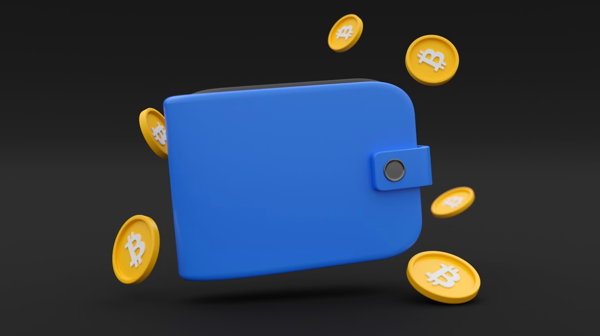 Choosing The Right Crypto Wallet: What Matters Most?