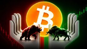 Bitcoin Treasury Companies Slow Buying as Market Value Drops