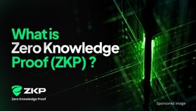 How Zero Knowledge Proof (ZKP) Approaches Privacy Through a Layer-1 Network