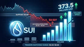 El volumen de SUI se dispara a $373,5 millones de dólares mientras el mercado apunta a un rango de acumulación crítico
