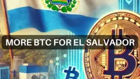 1 BTC a day! El Salvador’s Bitcoin buying spree goes on and on because…
