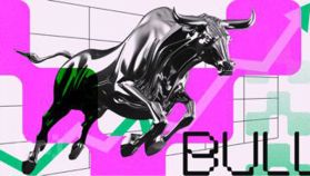 Dieser Coin ist im November über 1.621 % im Kurs gestiegen