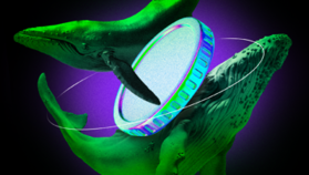 Le whales crypto hanno acquistato queste monete nella terza settimana di ottobre 2024