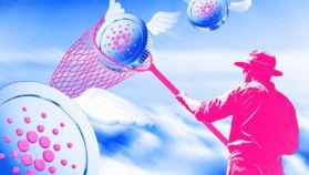 Cardano Kurs verdoppelt sich in einer Woche