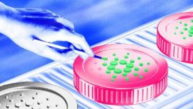 ETF de Cardano tem 80% de chance de aprovação em 2025