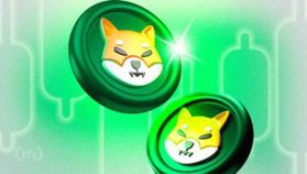 Dlaczego Shiba Inu może się odbić pomimo spadku na rynku krypto?