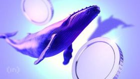 Wieloryby kryptowalutowe inwestują: Dokąd płynie ich kapitał we wrześniu?