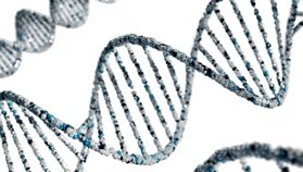 Crypto Concerns Force Beckham-Backed Health Company To Stop Buying Bitcoin