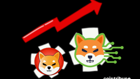 Shiba Inu : De nouveaux records, et non des moindres, sur Shibarium