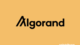 Algorand réussit un coup de maître dans l’écosystème Web3 indien