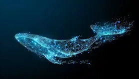 Massive Whale Buys Large Amount of This Altcoin: Becomes Second Largest Holder