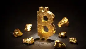 ABD’li Ünlü Ekonomist Altın Karşısında Bitcoin’e (BTC) Üç Yıl Verdi!