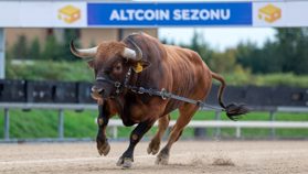 Altcoin Sezonu Aramaları Dip Yaptı: Analiz Şirketine Göre Piyasada Kalabalıkların Düşüncesinin Tersi Çıkabilir!