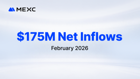 MEXC, Şubat ayında 175 milyon dolarlık net giriş kaydederek küresel merkezi borsalar arasında 4. sıraya yerleşti