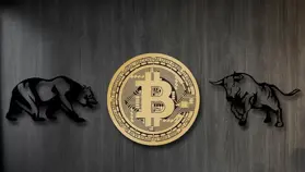 Bitcoin’de Son Yükseliş Boğayı Başlattı Mı? Yoksa Hala Ayıdamıyız? Uzmanlar Açıkladı!