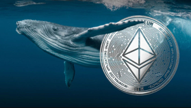Bir Yıl Önce Tüm Ethereum’larını Satan Balina Tekrar ETH Almaya Başladı! İşte Detaylar