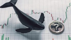 Bir Dönemin En İyi Trader’larından Kabul Edilen Balina, Bugün Bir Altcoinden Yüklü Dump’ladı!