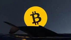 Dört Yıldır Hareketsiz Kalan Bitcoin Balinası, Yaklaşık 46 Milyon Dolarlık BTC Transferi Gerçekleştirdi! İşte Detaylar