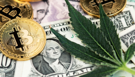 Flying High: Why Bitcoin Fans Are Buzzing About Hitting $42,069
