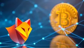 В кошелек MetaMask добавлена поддержка биткоина