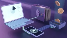 Стоимость биткоина на бирже Paradex падала до нуля