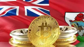 Бермудские острова планируют масштабную интеграцию блокчейна в экономику