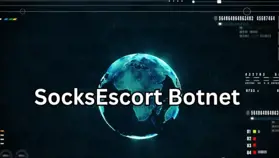 Власти США заморозили $3,5 млн в криптовалюте при ликвидации прокси-сети SocksEscort