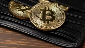 Власти Ирландии восстановили доступ к кошельку с 500 конфискованными биткоинами