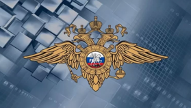 В МВД России поддержали запрет нелицензированнных криптообменников