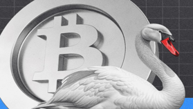 Swan Bitcoin хотят судить за вывод $1 млрд из криптосервиса Prime Trust