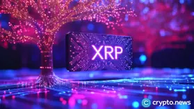 XRP price bulls seize momentum as spot ETF inflows blast past $1b mark