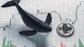 “1억 3백만어치 BTC 거래소 송금 확인, 시장 조정 전망”