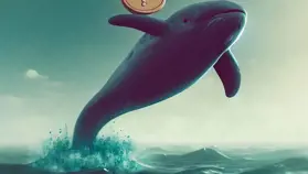 Cá voi bí ẩn lại mua hàng chục triệu đô la Altcoin này trên Binance