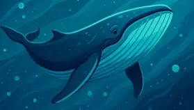 Dữ liệu gây sốc: Cá voi đã NGỪNG tích lũy Bitcoin – Điều gì sắp xảy ra?