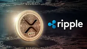 CTO Ripple công bố XRPL Hub – Động thái lớn cho tính minh bạch của XRP