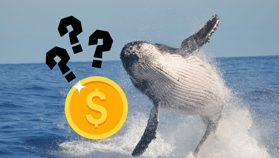 Dữ liệu onchain cho thấy cá voi có thể chuẩn bị bán mạnh altcoin này