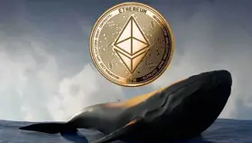 Cá voi Ethereum tỉnh giấc sau gần 10 năm