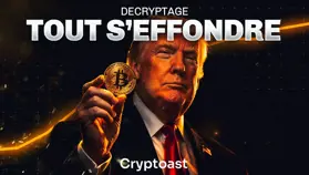 Crypto : Comment est-on passés de l'euphorie à la haine ?