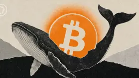 Bitcoin : les baleines accumulent 2,9 milliards de dollars de BTC en 60 jours