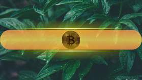 Why 2026 Could Be a Dream Year for Investors: And Where Bitcoin Fits In?