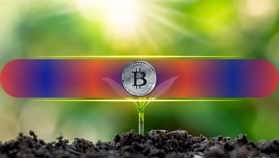 Do Bitcoin and Altcoins Have the Most Room for Growth in 2026?