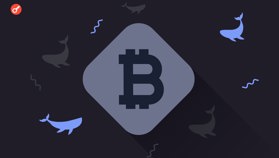 Биткоин-кит перевел 25 BTC на биржу Kraken после 11 лет бездействия