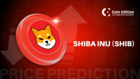 Shiba Inu (SHIB) Preisprognose für May 13