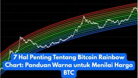 7 Hal Penting Tentang Bitcoin Rainbow Chart: Panduan Warna untuk Menilai Harga BTC