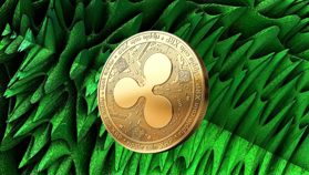 Harga XRP Hari Ini 11 Agustus 2026: XRP Bertahan di US$1,04